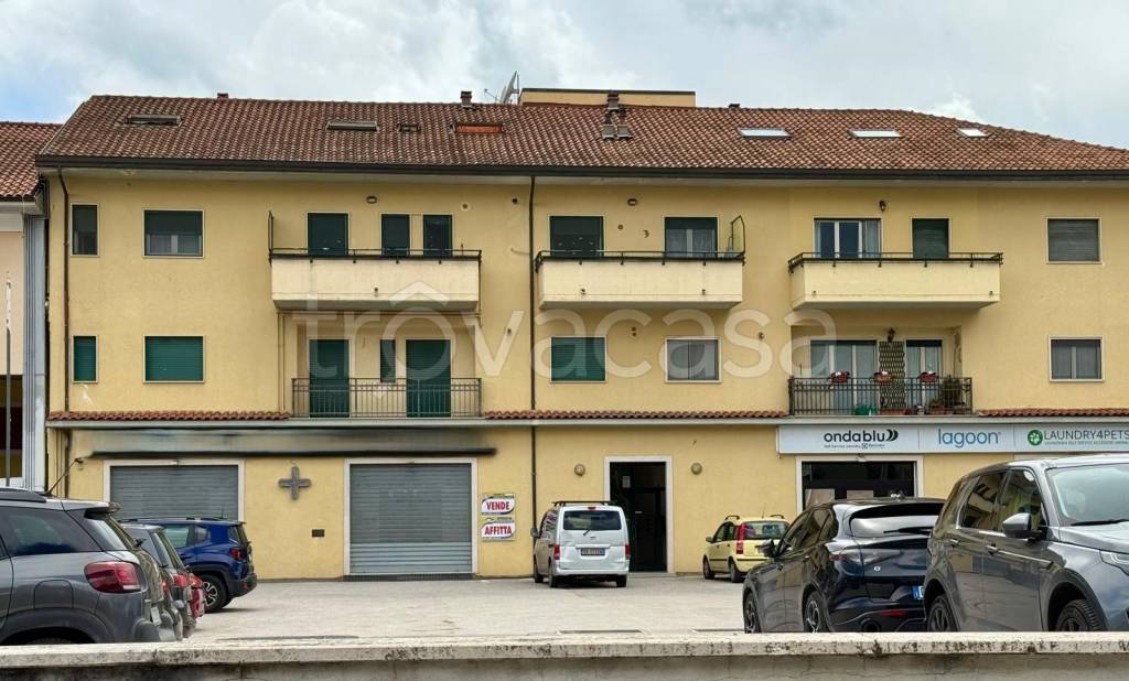 immagine annuncio 13 di 14