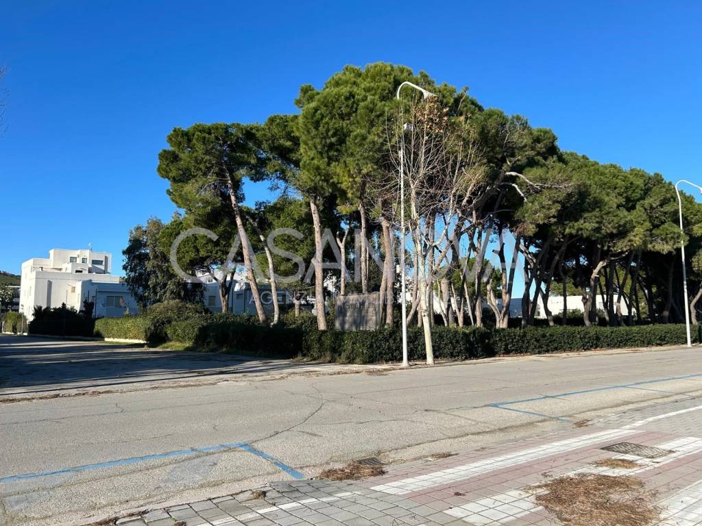 immagine annuncio 9 di 15