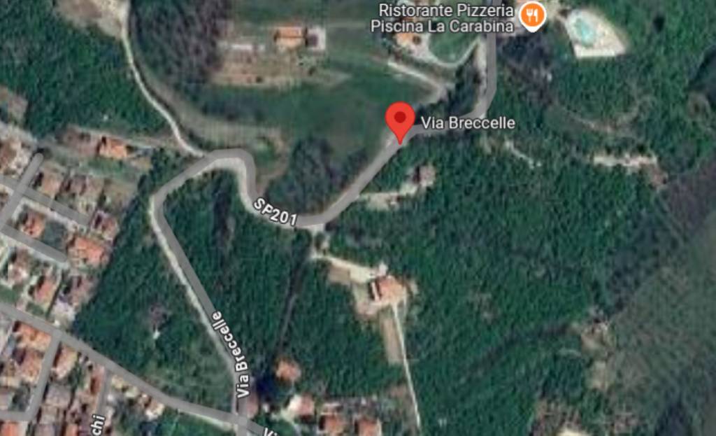 immagine annuncio 4 di 13