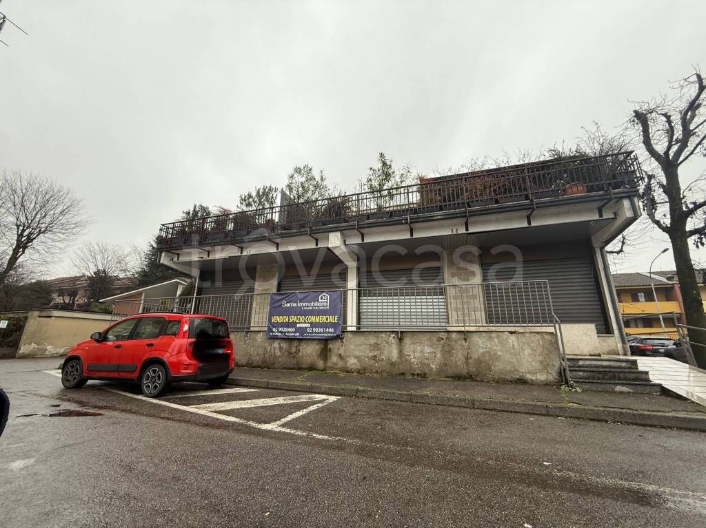 immagine annuncio 3 di 15