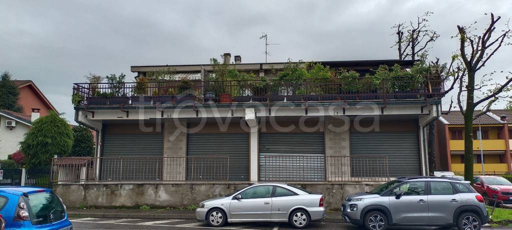 immagine annuncio 5 di 15