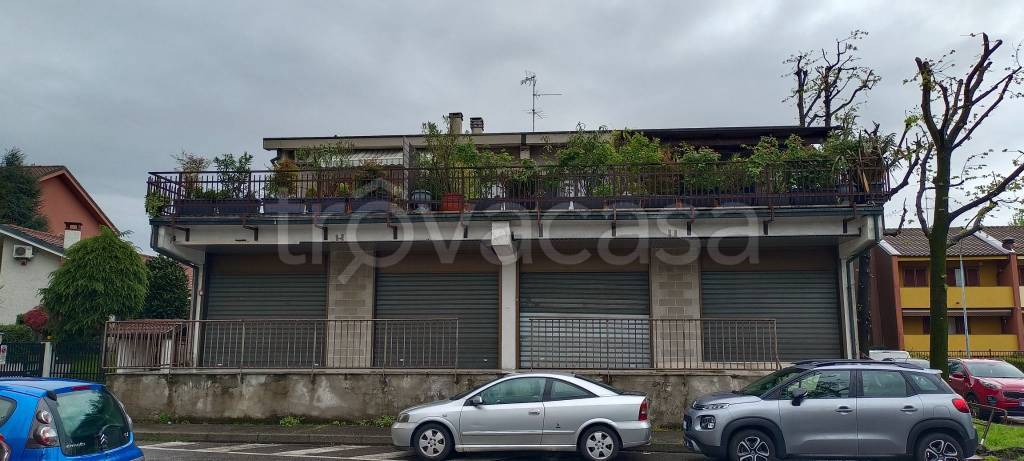 immagine annuncio 8 di 15