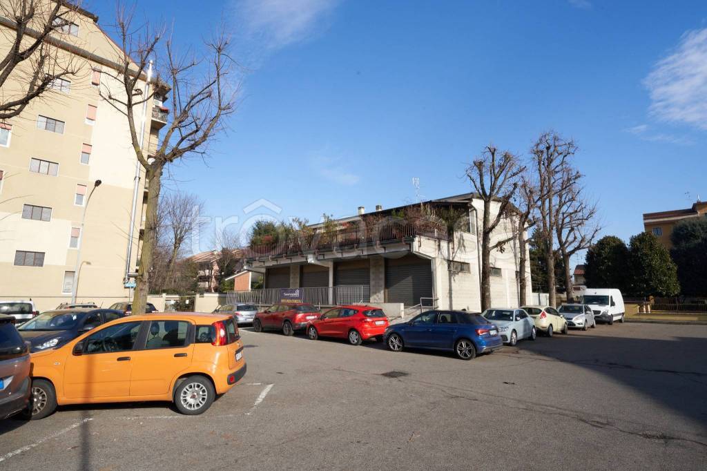 immagine annuncio 10 di 15