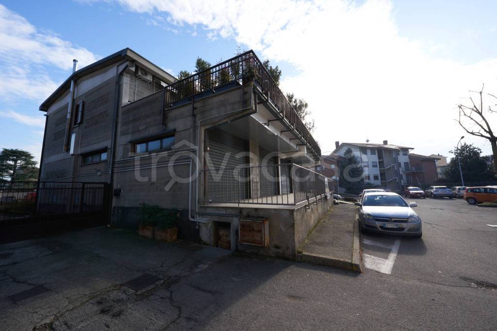 immagine annuncio 12 di 15