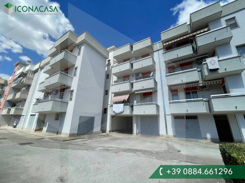 immagine annuncio 6 di 15