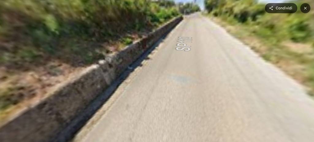 immagine annuncio 11 di 14
