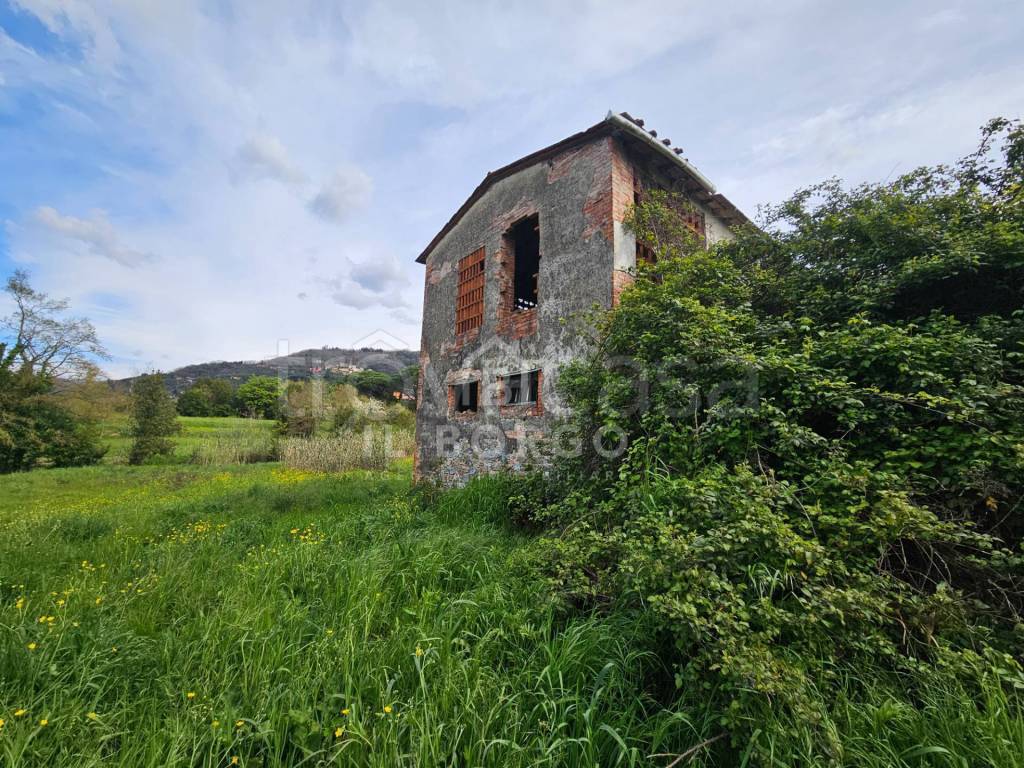 immagine annuncio 4 di 13