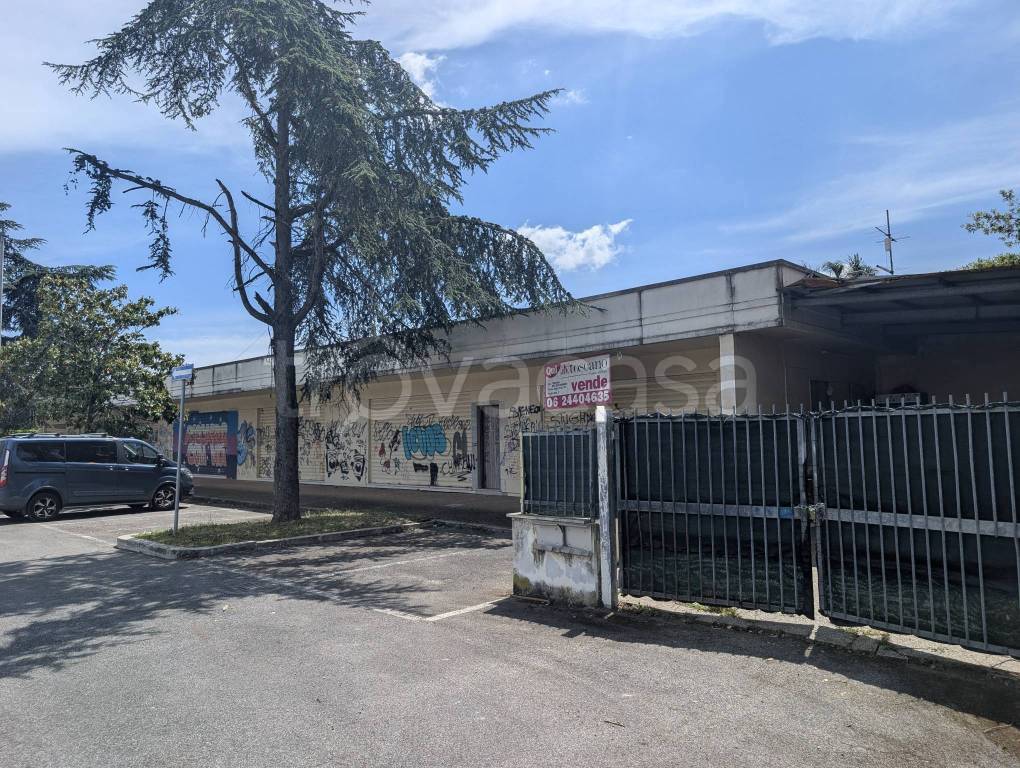 immagine annuncio 14 di 15