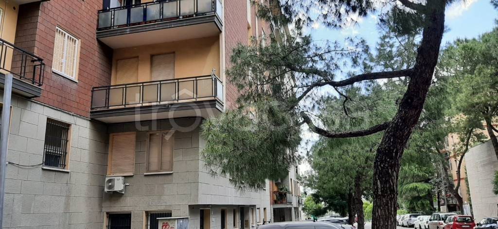 immagine annuncio 2 di 8