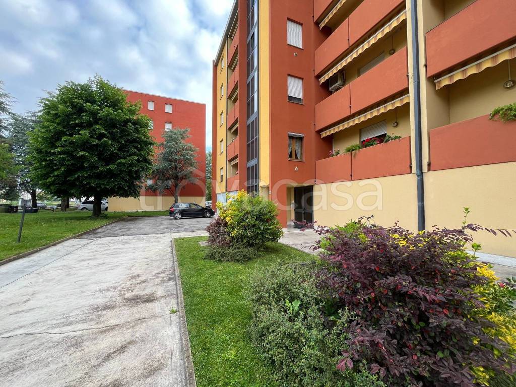immagine annuncio 3 di 8