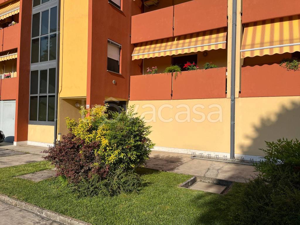 immagine annuncio 1 di 8