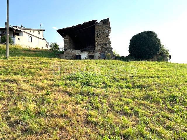 immagine annuncio 1 di 8