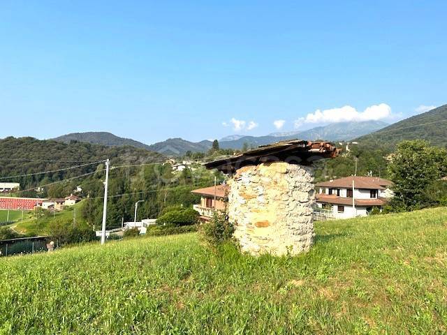 immagine annuncio 5 di 8