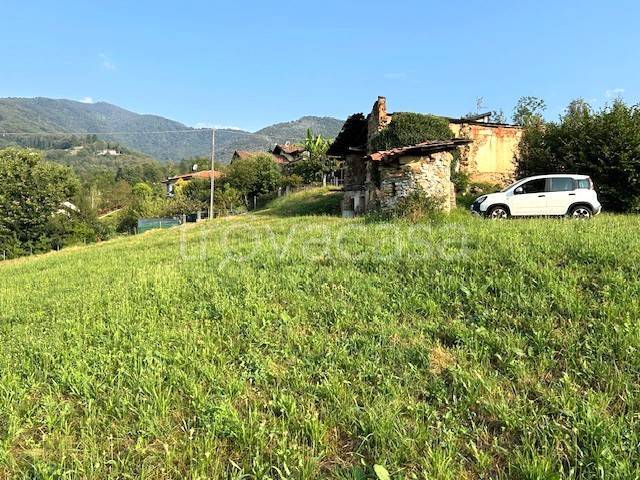 immagine annuncio 6 di 8