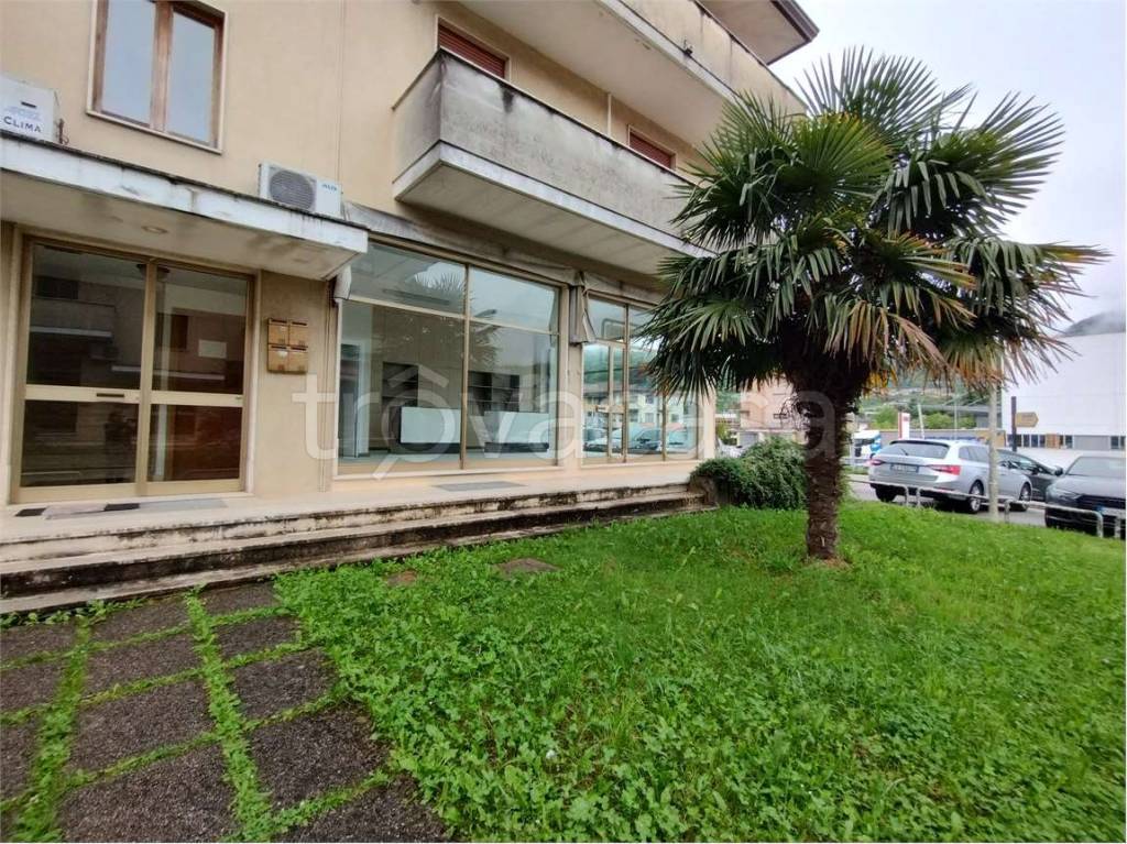 immagine annuncio 5 di 6