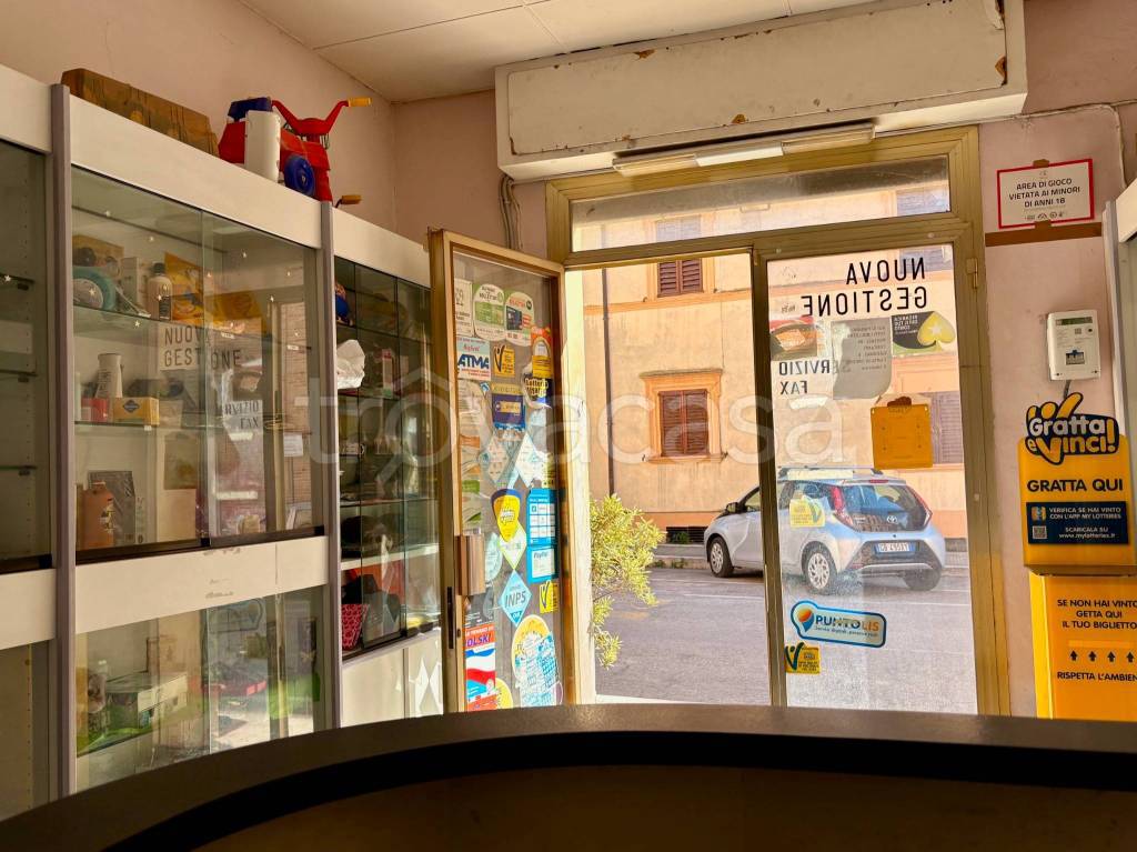 immagine annuncio 6 di 11