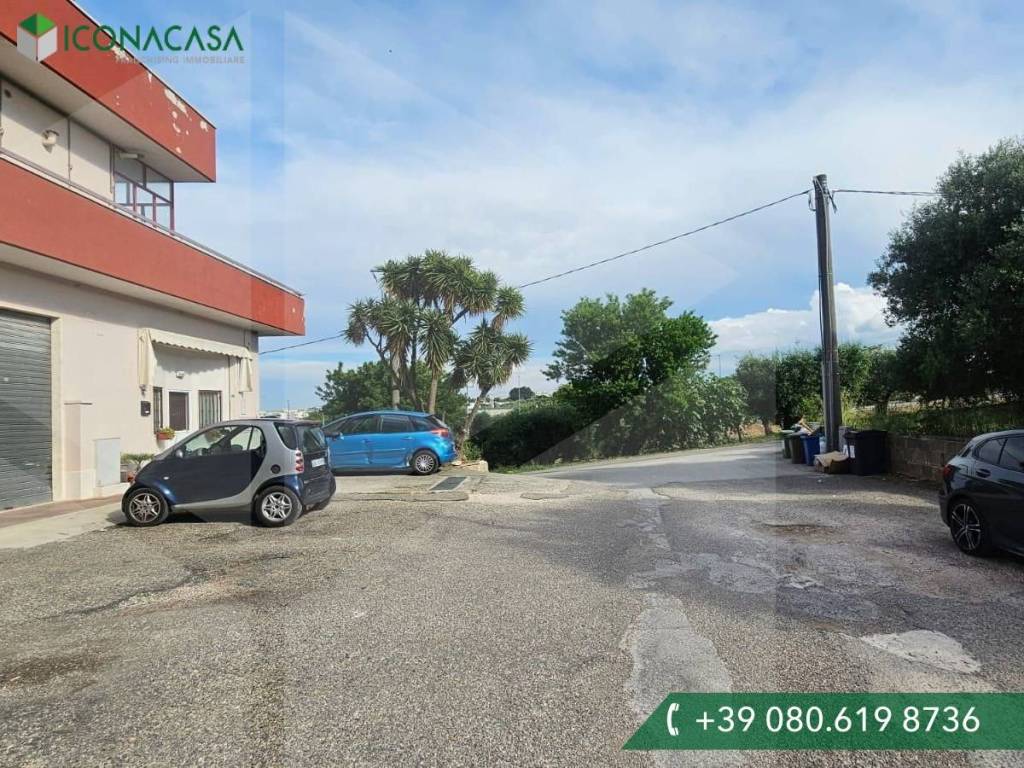 immagine annuncio 3 di 13