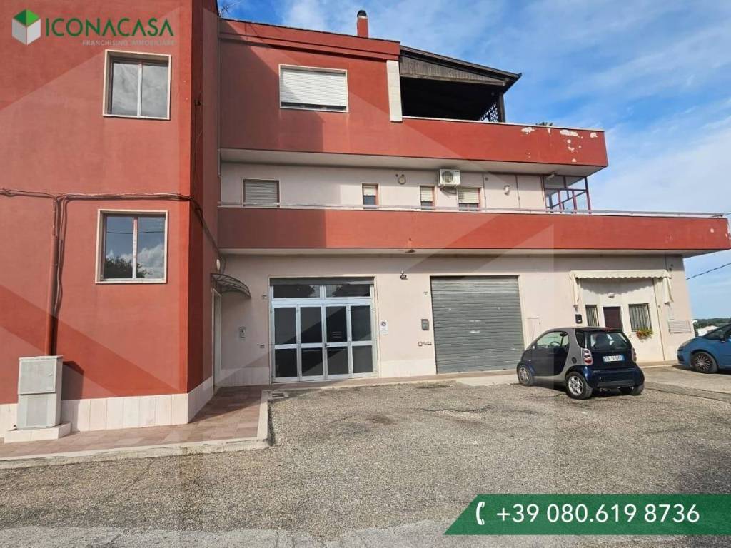 immagine annuncio 1 di 13
