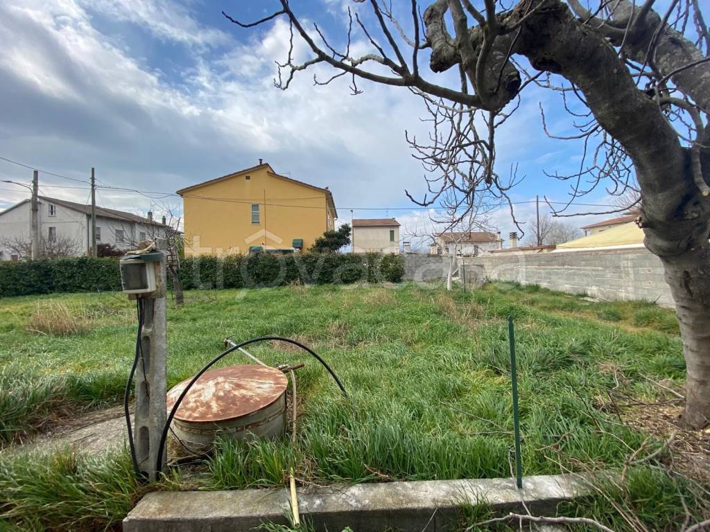 immagine annuncio 3 di 12