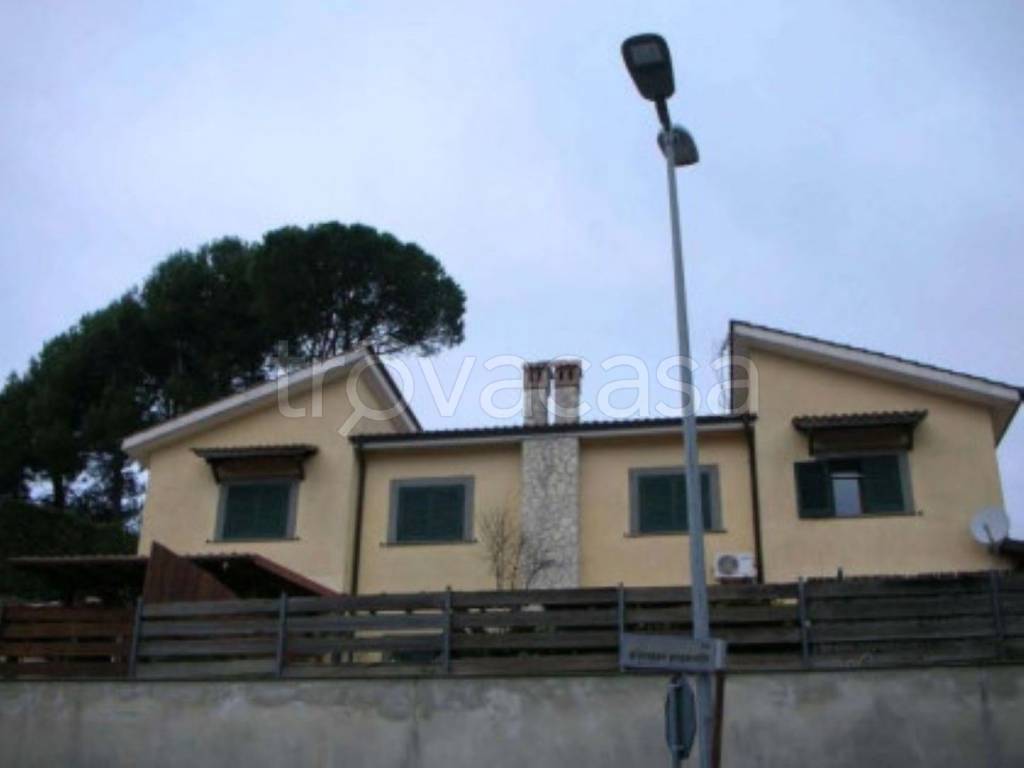 immagine annuncio 13 di 14