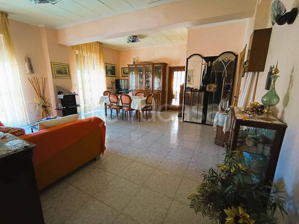 immagine annuncio 2 di 12