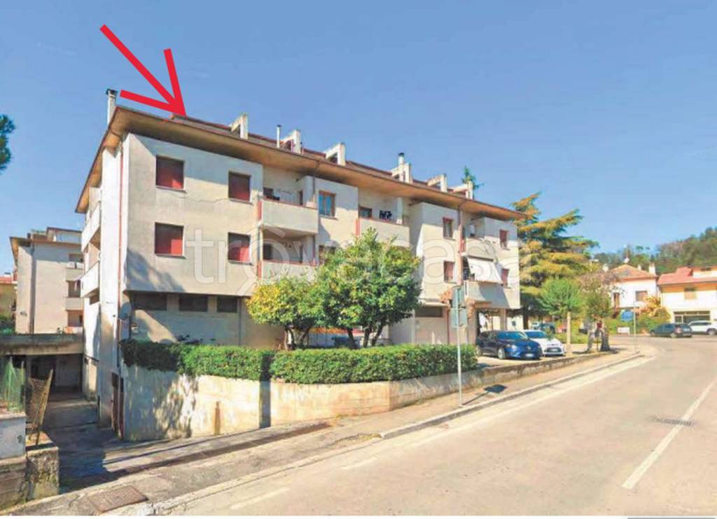 immagine annuncio 8 di 12