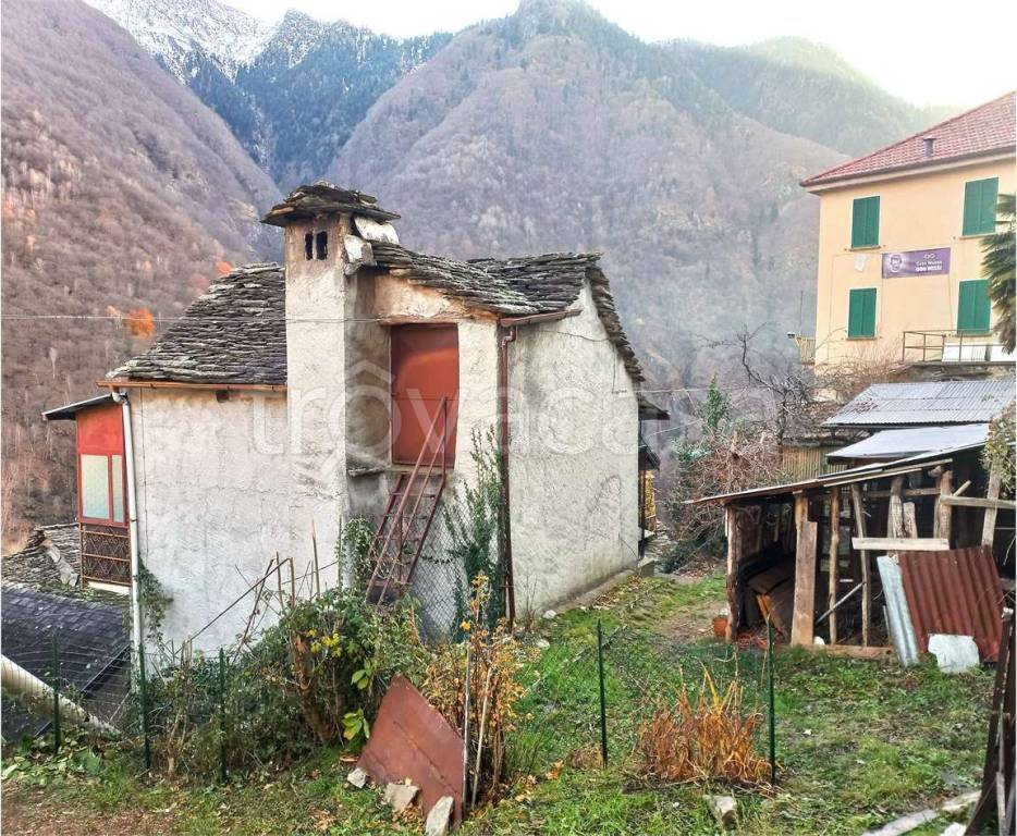 immagine annuncio 2 di 14
