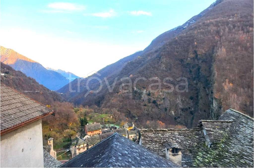 immagine annuncio 12 di 14