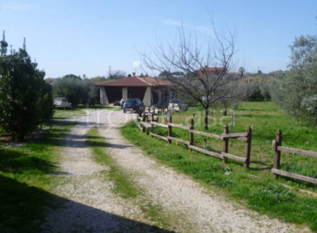 immagine annuncio 3 di 11