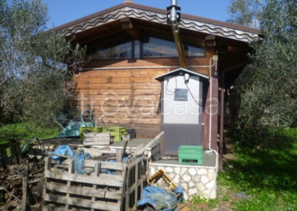 immagine annuncio 5 di 11