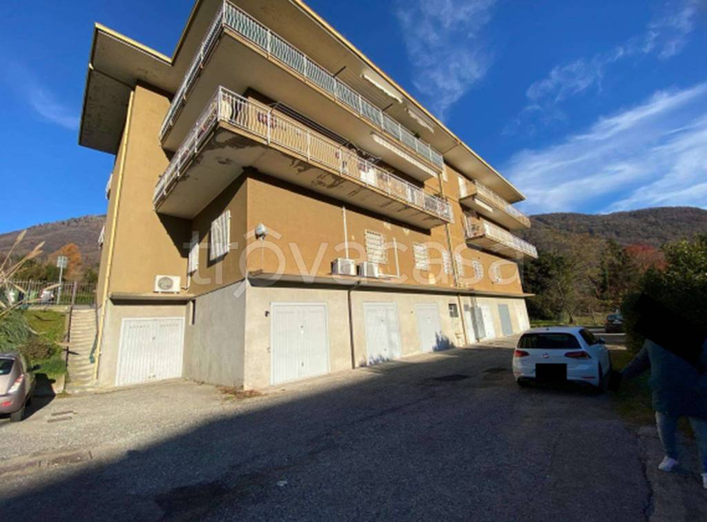 immagine annuncio 5 di 12
