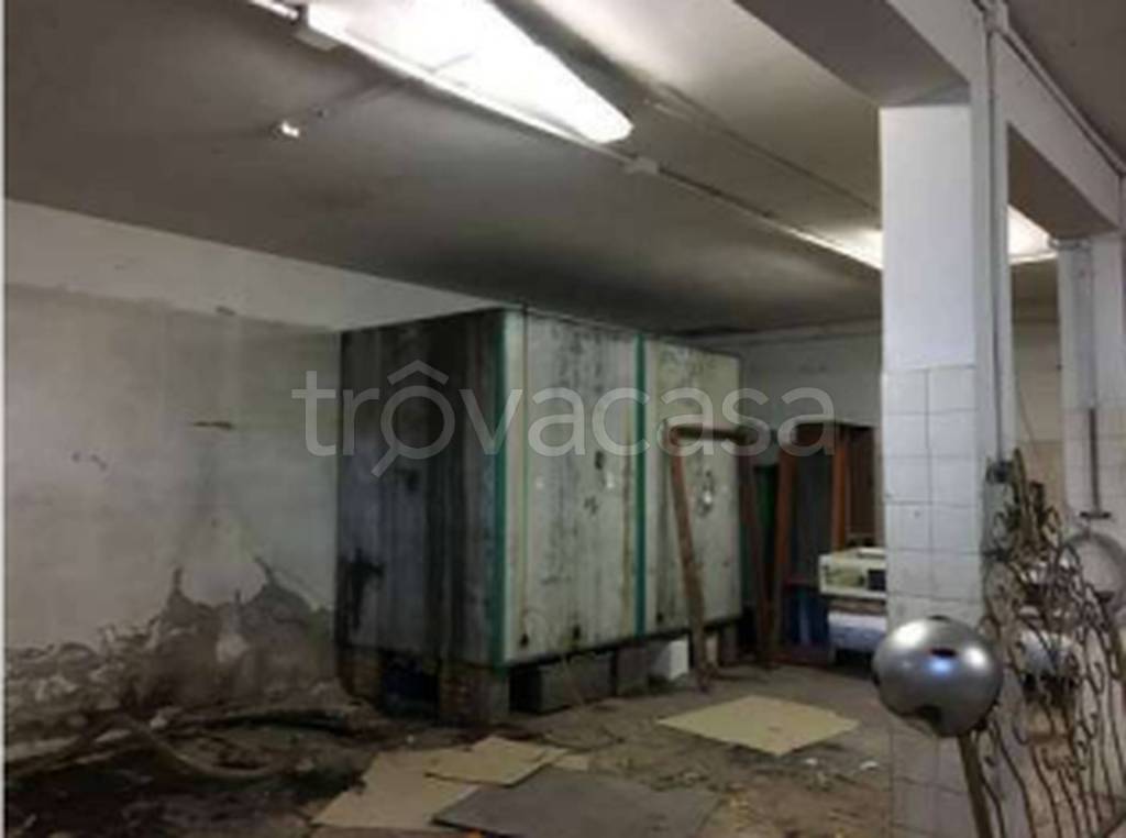 immagine annuncio 3 di 11
