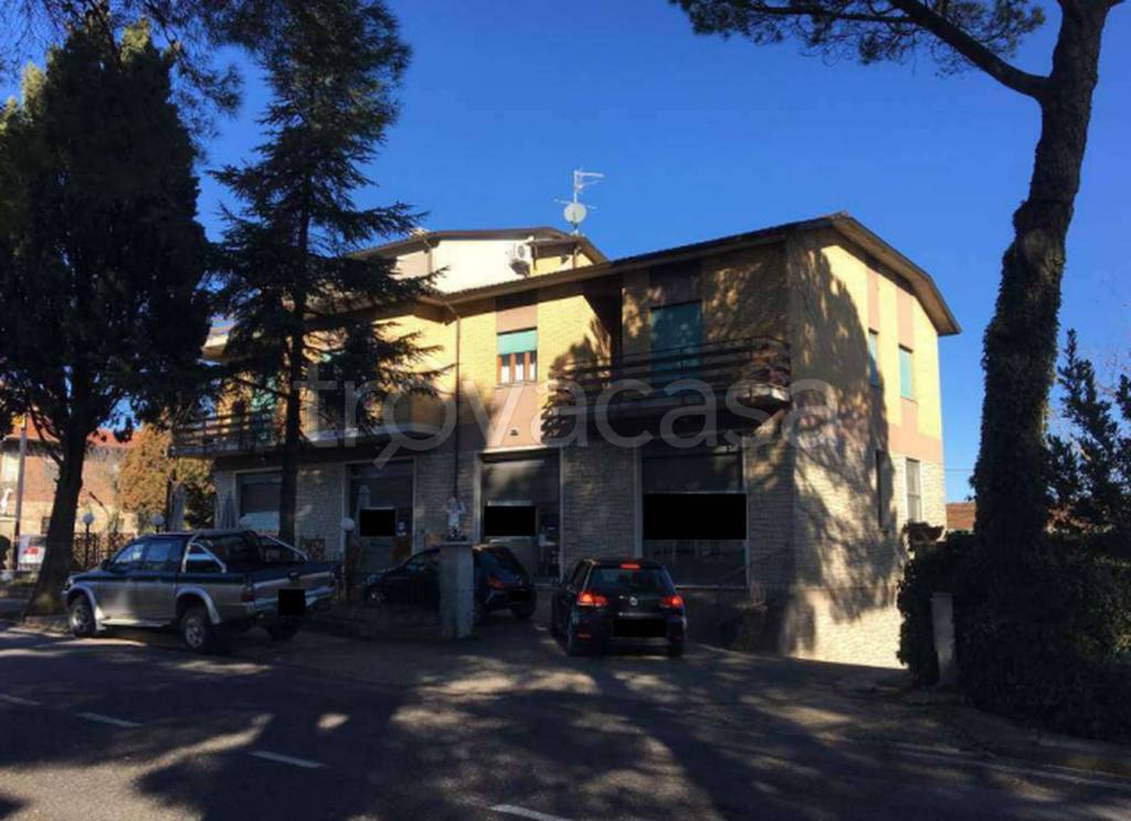 immagine annuncio 6 di 11