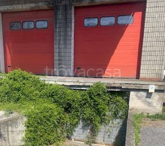 immagine annuncio 2 di 4