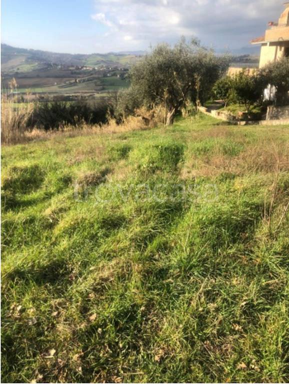 immagine annuncio 4 di 11