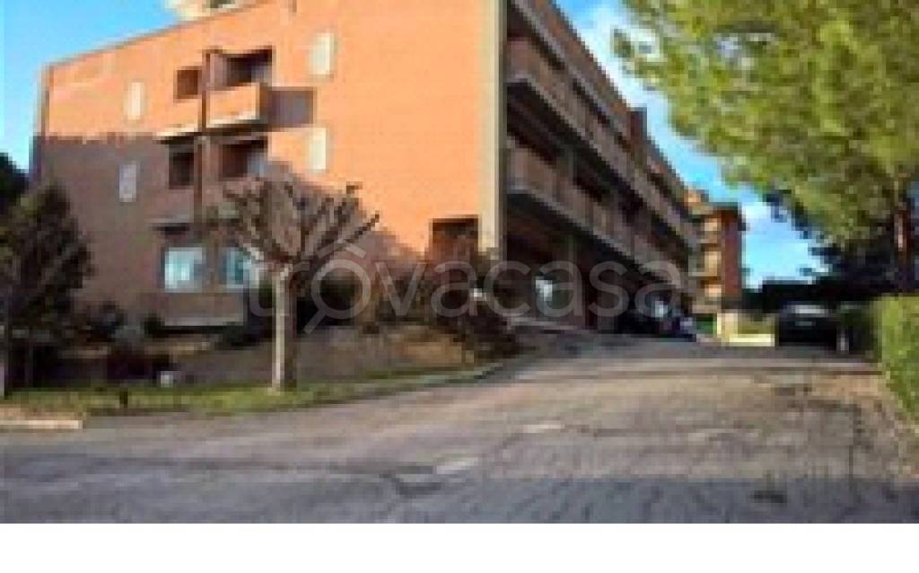 immagine annuncio 9 di 11