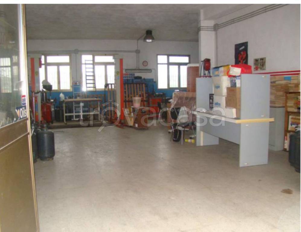 immagine annuncio 2 di 11