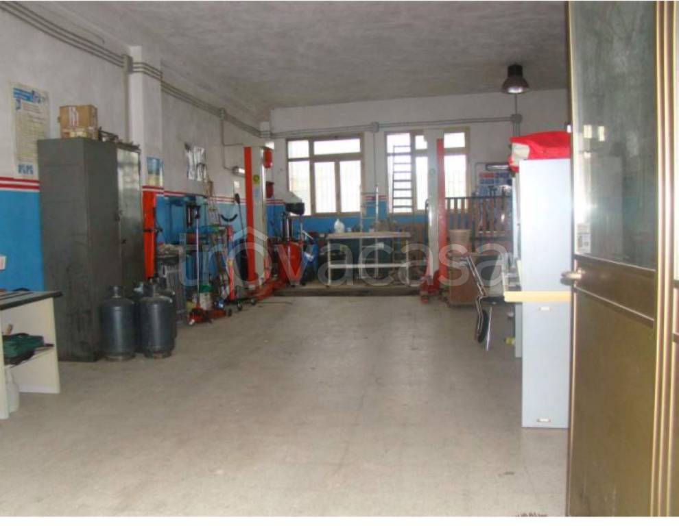 immagine annuncio 3 di 11