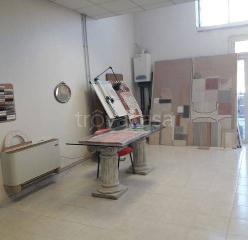 immagine annuncio 2 di 12