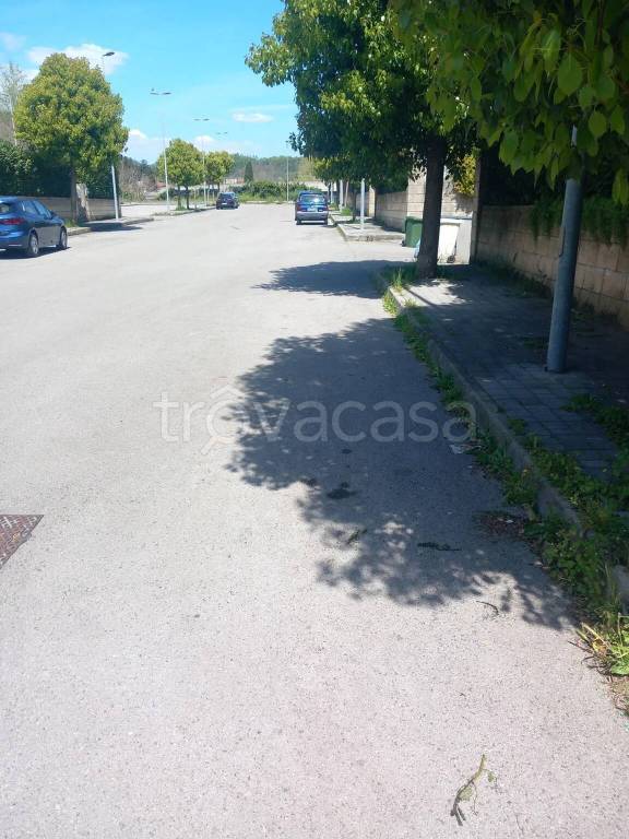 immagine annuncio 3 di 8