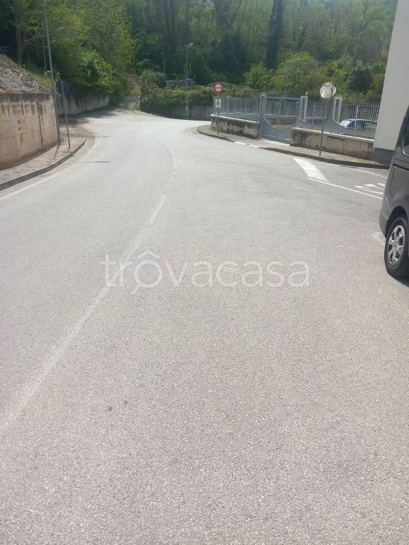immagine annuncio 11 di 14