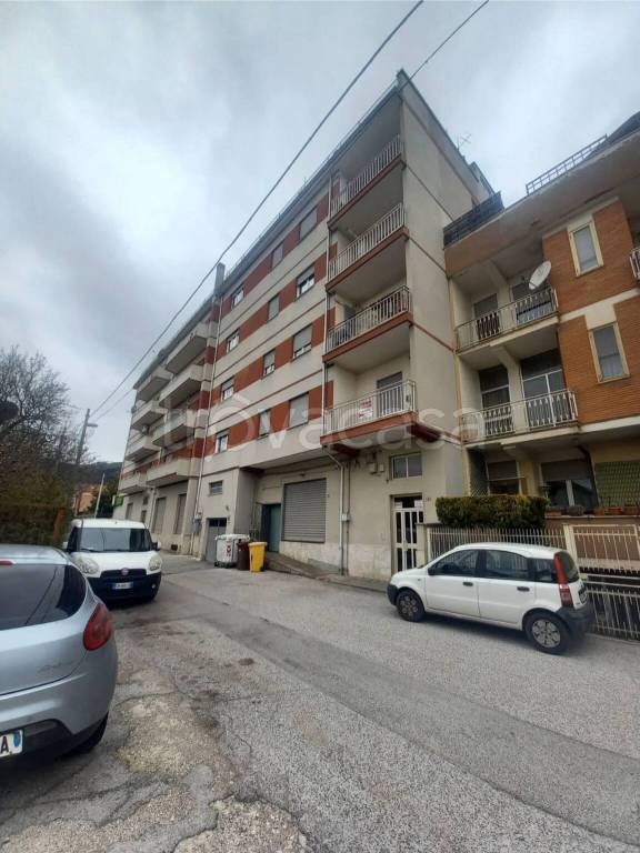 immagine annuncio 1 di 12