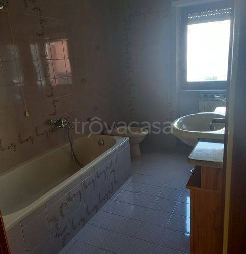immagine annuncio 10 di 14