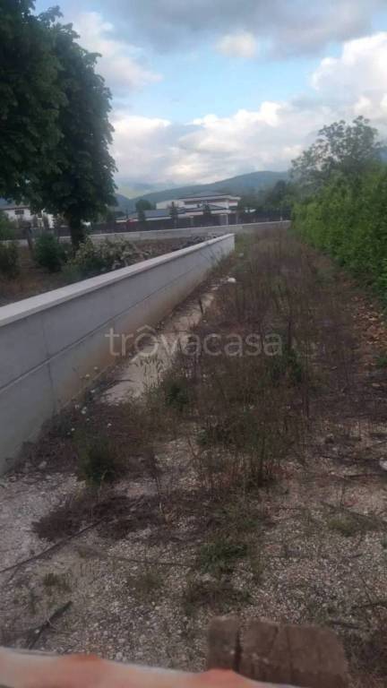 immagine annuncio 10 di 13