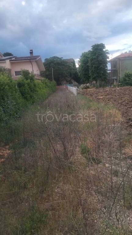 immagine annuncio 12 di 13