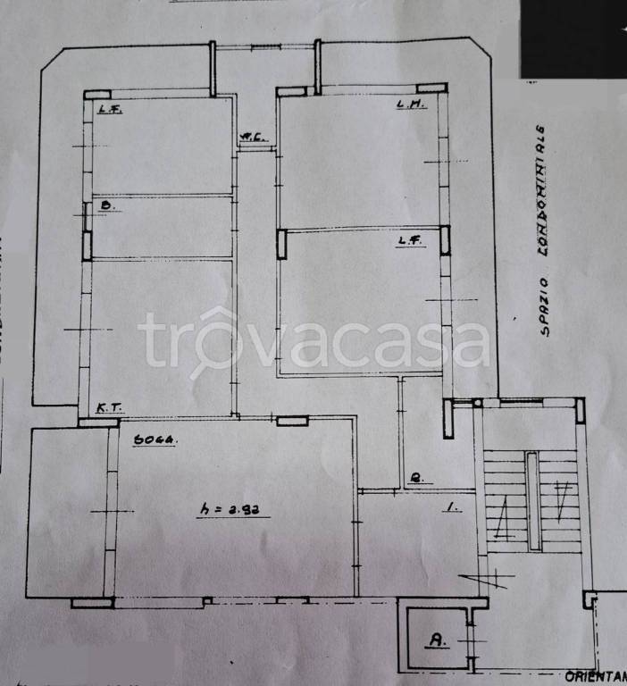 immagine annuncio 11 di 12