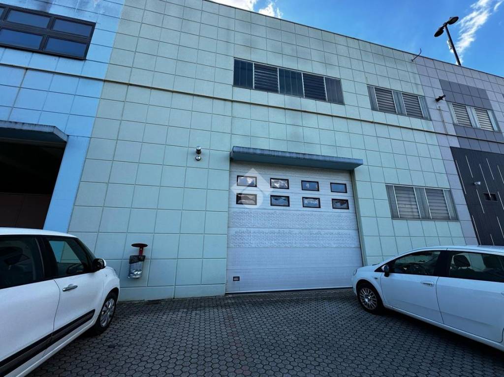 immagine annuncio 11 di 13