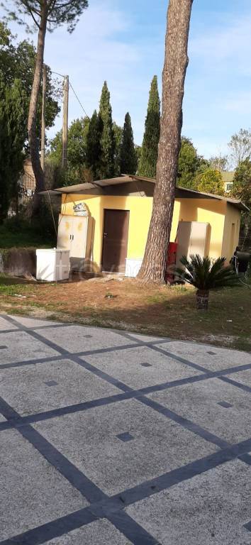 immagine annuncio 4 di 13