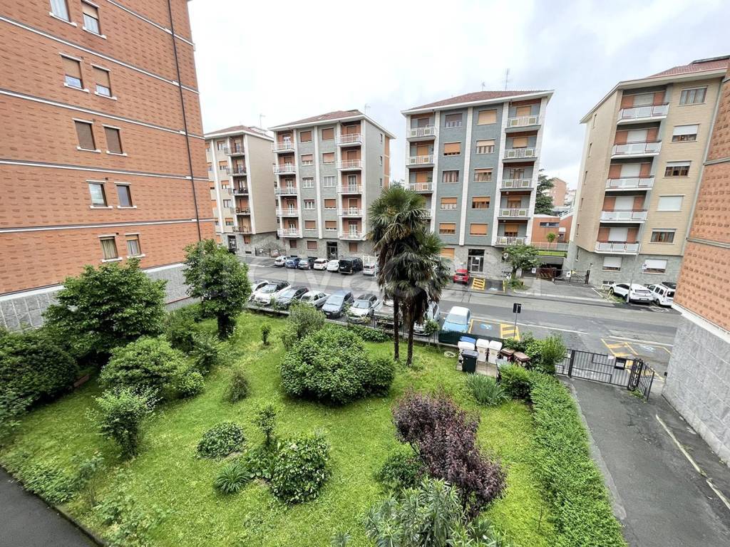 immagine annuncio 5 di 15