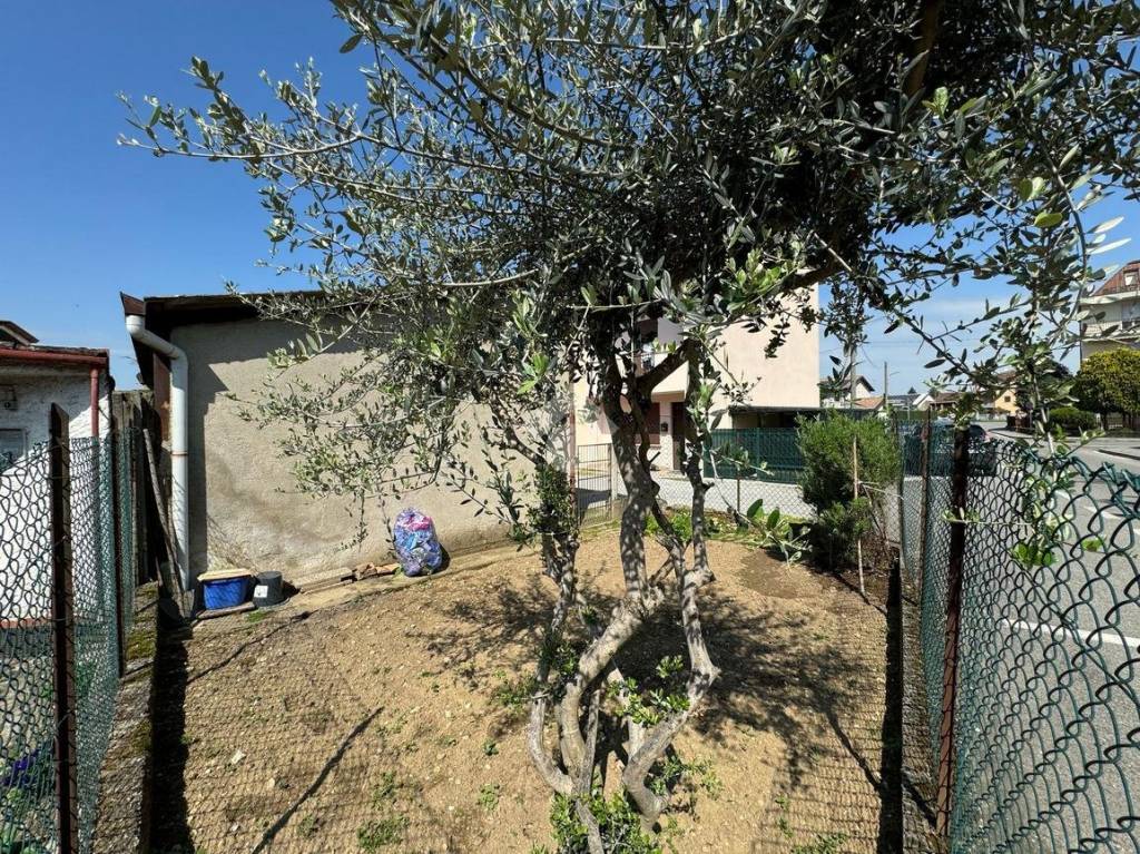 immagine annuncio 2 di 15